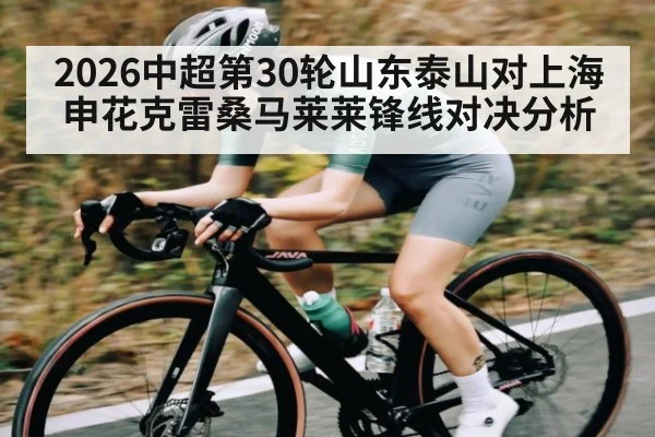 2026中超第30轮山东泰山对上海申花克雷桑马莱莱锋线对决分析